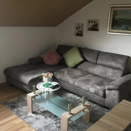Schellein Apartment Blaibach